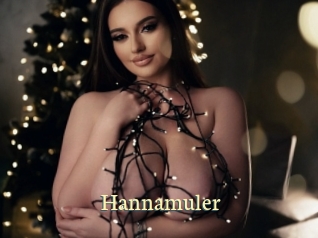 Hannamuler