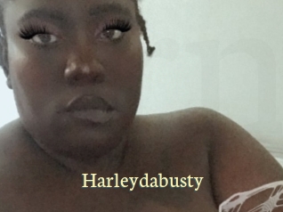 Harleydabusty