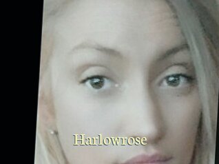 Harlowrose