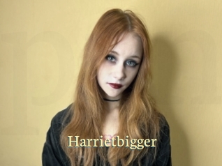 Harrietbigger