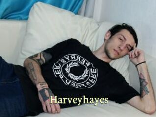 Harveyhayes