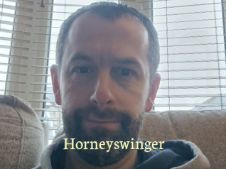 Horneyswinger