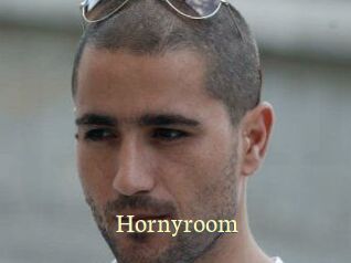 Hornyroom