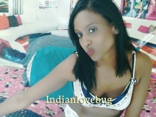 Indianlovebug