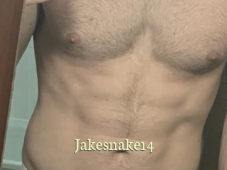 Jakesnake14