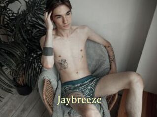 Jaybreeze