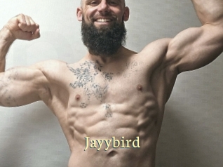 Jayybird