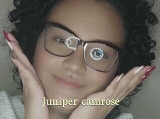 Juniper_camrose