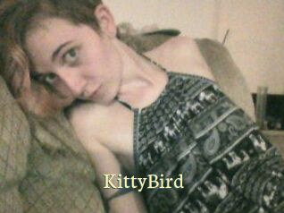 KittyBird