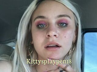 Kittysplaypen18