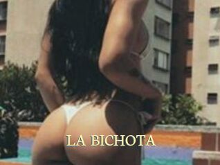 LA_BICHOTA