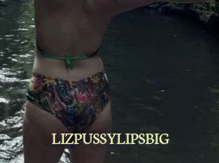 LIZPUSSYLIPSBIG