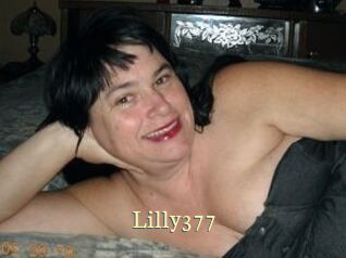 Lilly377