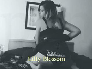 Lilly_Blossom