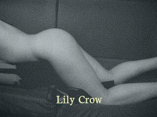 Lily_Crow