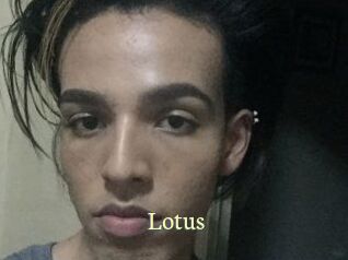 Lotus