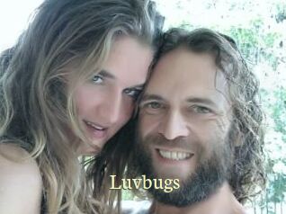 Luvbugs