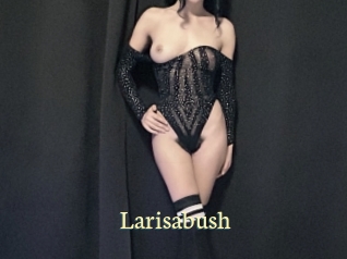 Larisabush