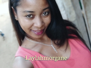 Laylahmorgane