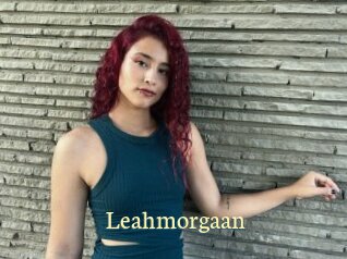 Leahmorgaan