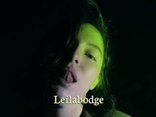 Leilabodge