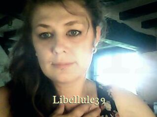 Libellule39