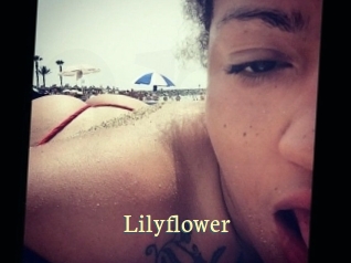 Lilyflower