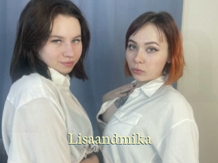 Lisaandmika