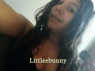 Littleebunny