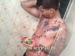 Lobo_sexy_latin