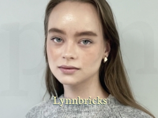 Lynnbricks