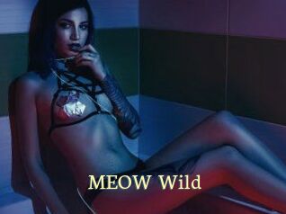 MEOW_Wild