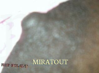 MIRATOUT