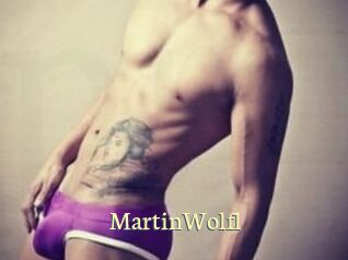 Martin_Wolfl