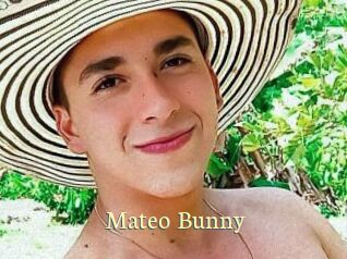 Mateo_Bunny