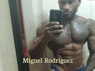 Miguel_Rodriguez