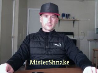 MisterShnake