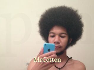 MrCotton