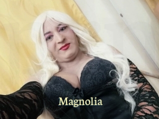 Magnolia