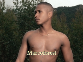 Marcoforest