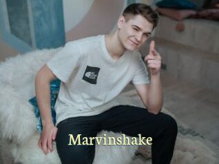 Marvinshake