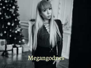 Megangodnes