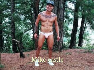 Mike_castle