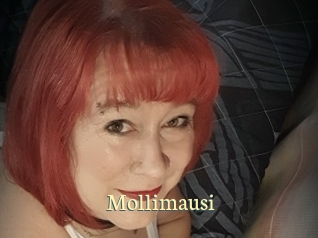 Mollimausi