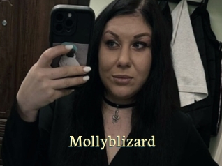 Mollyblizard