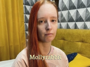 Mollyrabbit