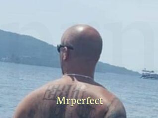 Mrperfect