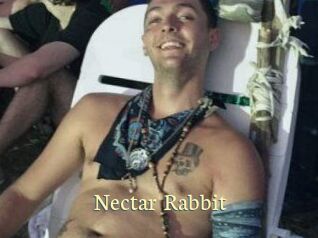 Nectar_Rabbit