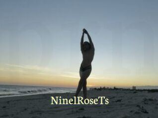 NinelRoseTs