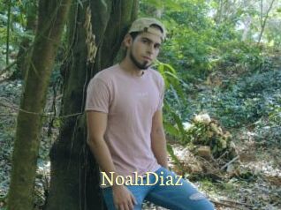 NoahDiaz